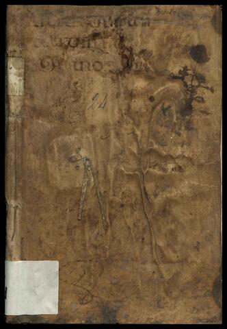 Open original Digital object